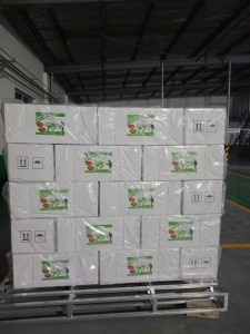 Weed Killer Agrochemical Pesticide Herbicide Prometryn 50% WP Manufacture